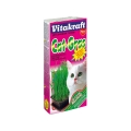 Vitakraft Cat Grass 120gm